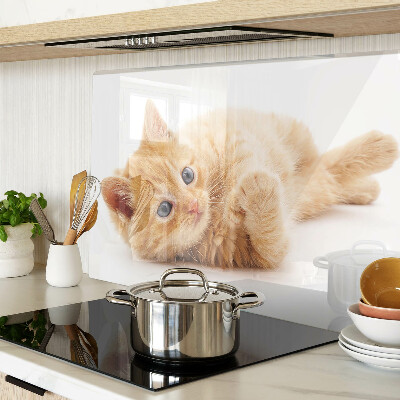 Deska kuchenna szklana z grafiką rudego kotka na białym tle