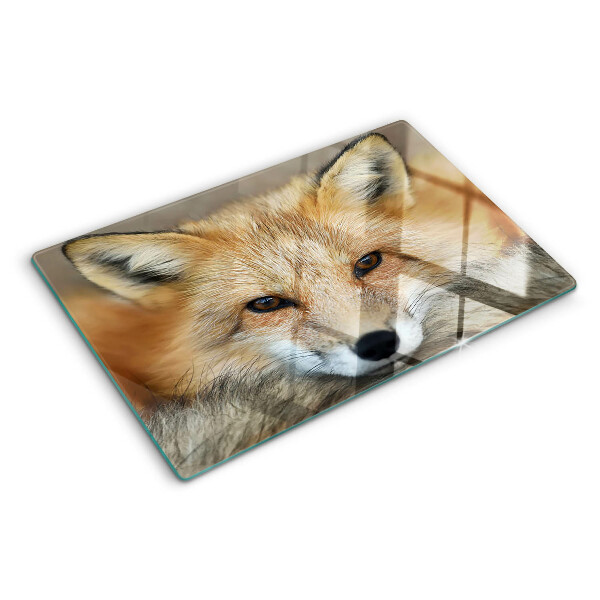 Szklana deska do krojenia z nadrukiem przedstawiającym młodego rudego lisa