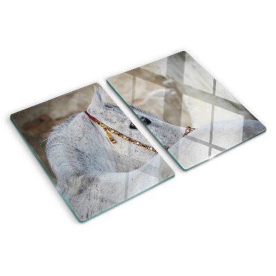 Deska kuchenna szklana z motywem białego młodego konia