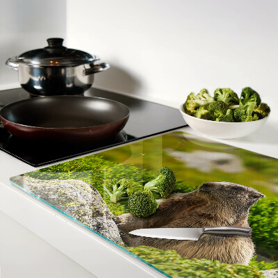 Deska kuchenna szklana z motywem marmotu na tle zielonej trawy