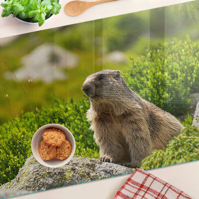 Deska kuchenna szklana z motywem marmotu na tle zielonej trawy