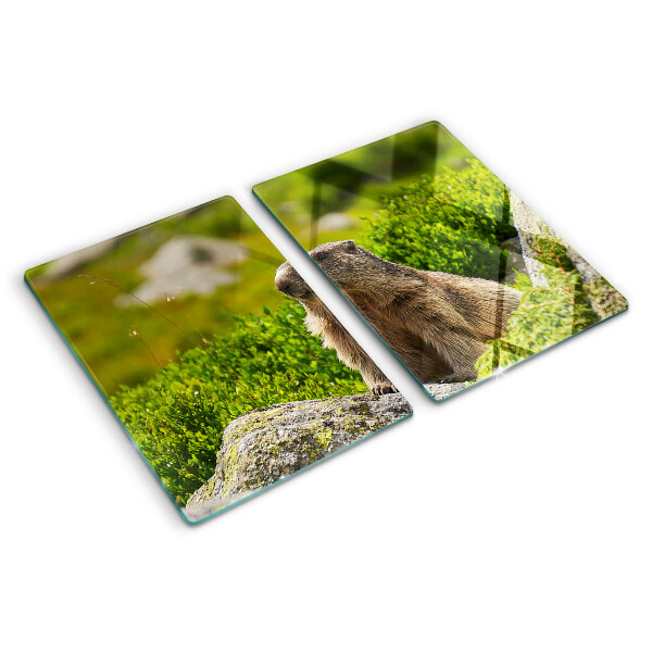 Deska kuchenna szklana z motywem marmotu na tle zielonej trawy