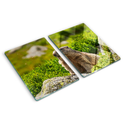 Deska kuchenna szklana z motywem marmotu na tle zielonej trawy