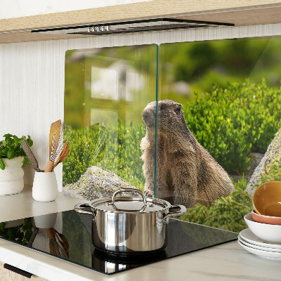 Deska kuchenna szklana z motywem marmotu na tle zielonej trawy