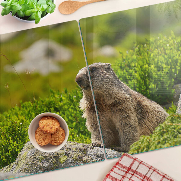 Deska kuchenna szklana z motywem marmotu na tle zielonej trawy
