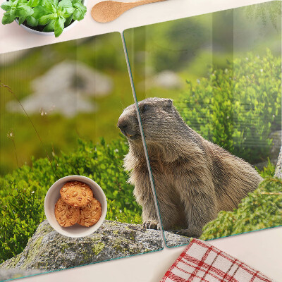 Deska kuchenna szklana z motywem marmotu na tle zielonej trawy