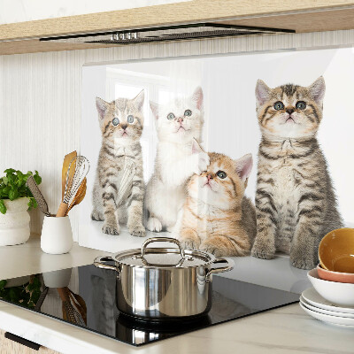 Szklana deska do krojenia z nadrukiem przedstawiającym stado kotków