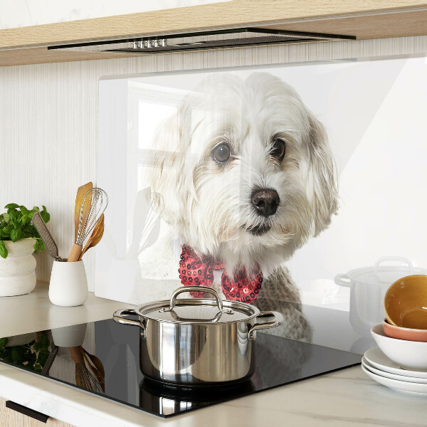 Szklana deska kuchenna z motywem psa w sweterku z kokardą