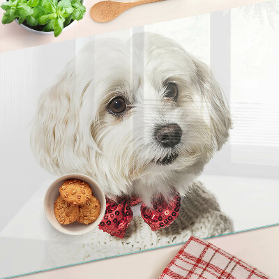 Szklana deska kuchenna z motywem psa w sweterku z kokardą