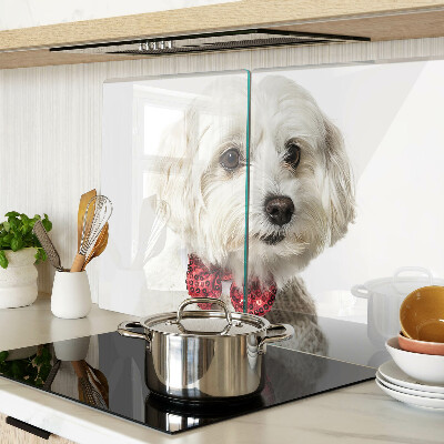 Szklana deska kuchenna z motywem psa w sweterku z kokardą