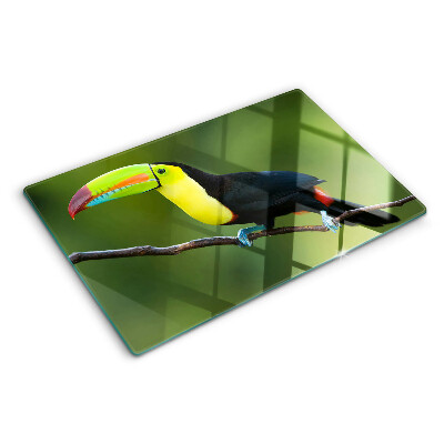 Szklana deska kuchenna z nadrukiem tukana siedzącego na gałęzi