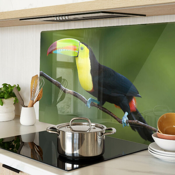 Szklana deska kuchenna z nadrukiem tukana siedzącego na gałęzi