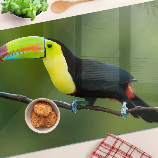 Szklana deska kuchenna z nadrukiem tukana siedzącego na gałęzi