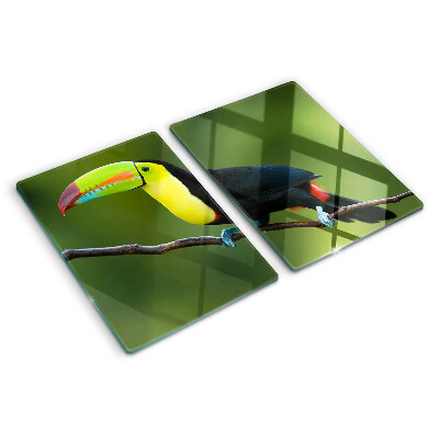 Szklana deska kuchenna z nadrukiem tukana siedzącego na gałęzi