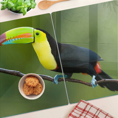 Szklana deska kuchenna z nadrukiem tukana siedzącego na gałęzi