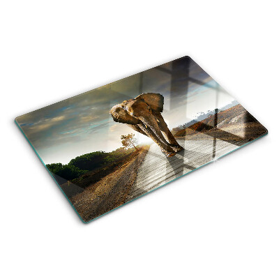 Deska kuchenna szklana z grafiką słonia na drodze o zachodzie słońca