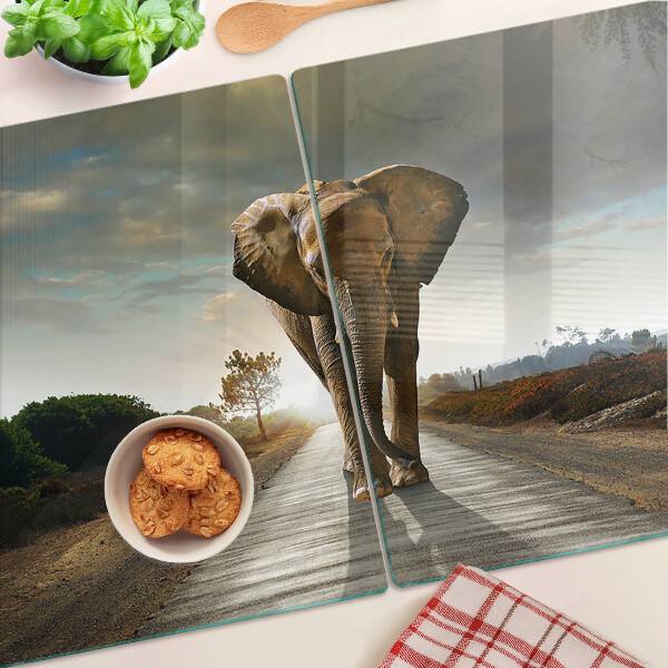 Deska kuchenna szklana z grafiką słonia na drodze o zachodzie słońca