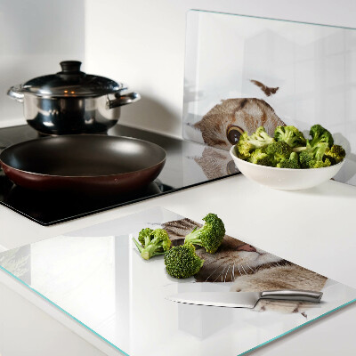 Szklana deska do krojenia z motywem kota wychodzącego z dziury