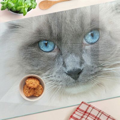 Szklana deska kuchenna z motywem kota z niebieskimi oczami