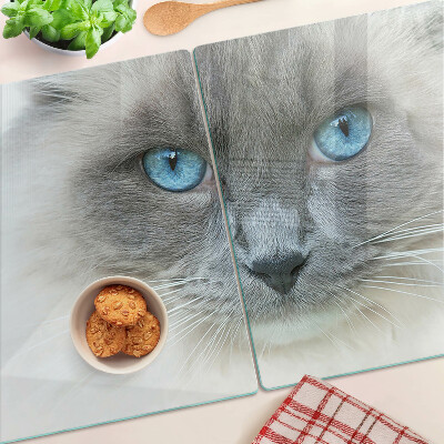 Szklana deska kuchenna z motywem kota z niebieskimi oczami