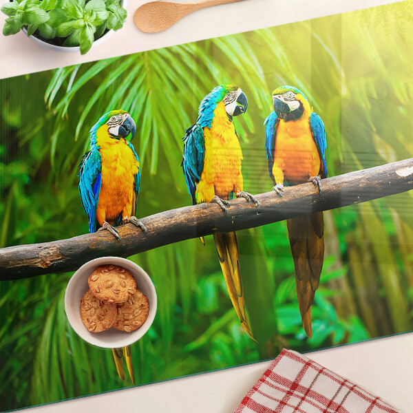 Szklana deska kuchenna z motywem papug siedzących na gałęzi w tropikalnym wnętrzu