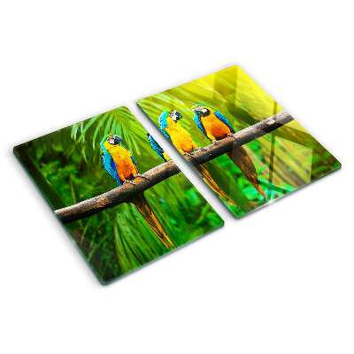 Szklana deska kuchenna z motywem papug siedzących na gałęzi w tropikalnym wnętrzu