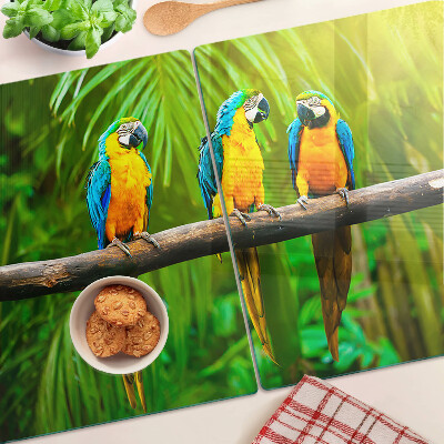 Szklana deska kuchenna z motywem papug siedzących na gałęzi w tropikalnym wnętrzu