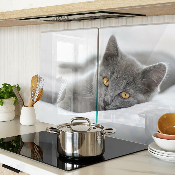 Deska kuchenna szklana z nadrukiem kota o żółtych oczach