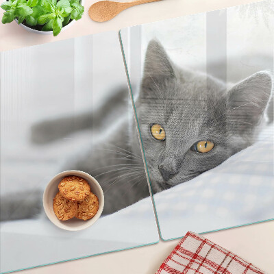 Deska kuchenna szklana z nadrukiem kota o żółtych oczach