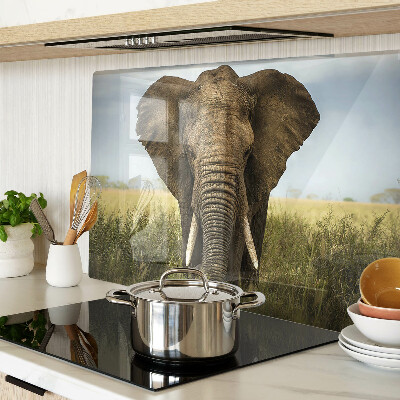 Deska kuchenna szklana z motywem słonia na tle afrykańskiej sawanny