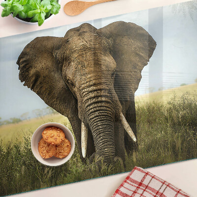 Deska kuchenna szklana z motywem słonia na tle afrykańskiej sawanny