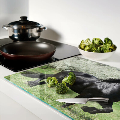 Szklana deska do krojenia z motywem czarnego konia na łące