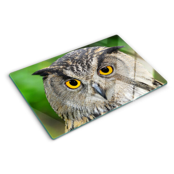 Szklana deska kuchenna z motywem sowy z wyrazistymi oczami