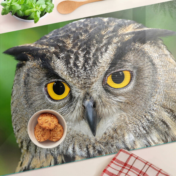 Szklana deska kuchenna z motywem sowy z wyrazistymi oczami