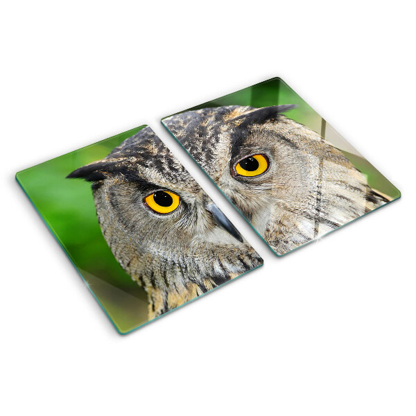 Szklana deska kuchenna z motywem sowy z wyrazistymi oczami