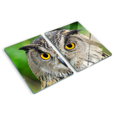 Szklana deska kuchenna z motywem sowy z wyrazistymi oczami
