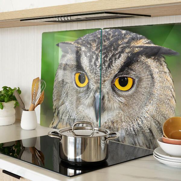 Szklana deska kuchenna z motywem sowy z wyrazistymi oczami