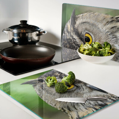 Szklana deska kuchenna z motywem sowy z wyrazistymi oczami