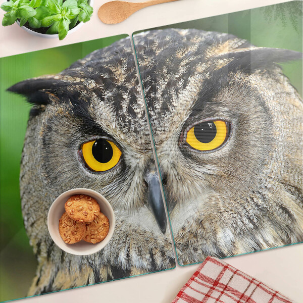 Szklana deska kuchenna z motywem sowy z wyrazistymi oczami