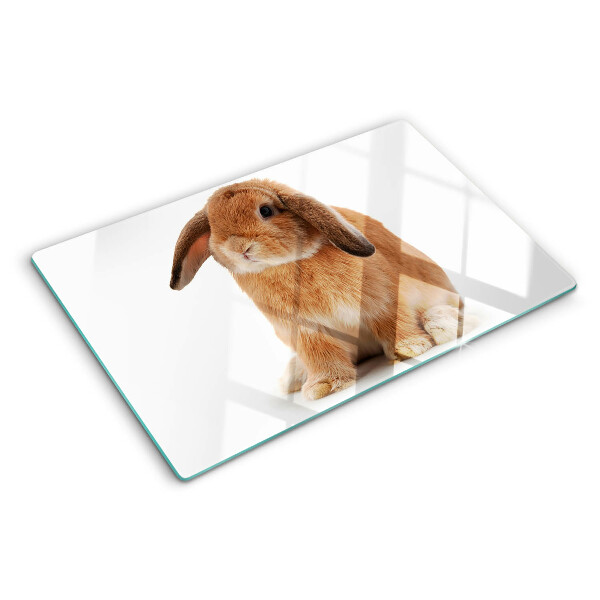 Szklana deska kuchenna z motywem królika na białym tle