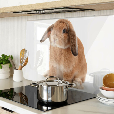 Szklana deska kuchenna z motywem królika na białym tle