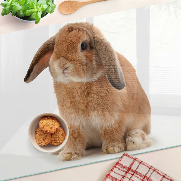 Szklana deska kuchenna z motywem królika na białym tle