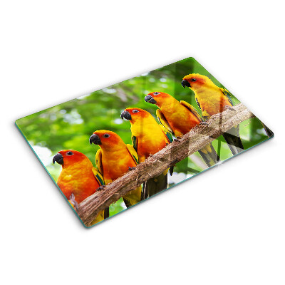 Deska kuchenna szklana z motywem papug siedzących na gałęzi