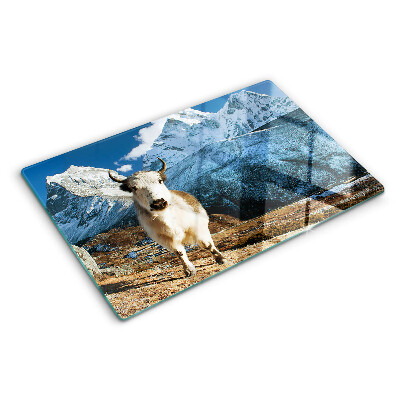 Szklana deska kuchenna z motywem krowy w górach