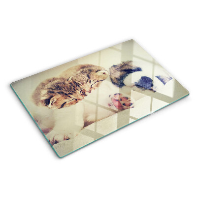 Deska kuchenna szklana z grafiką przedstawiającą koty i śpiącego pieska