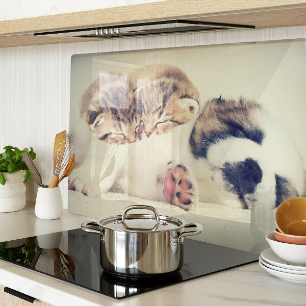 Deska kuchenna szklana z grafiką przedstawiającą koty i śpiącego pieska
