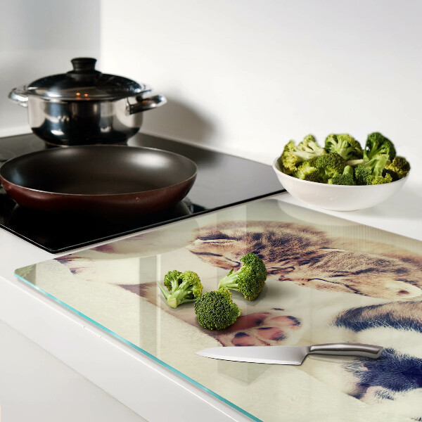 Deska kuchenna szklana z grafiką przedstawiającą koty i śpiącego pieska