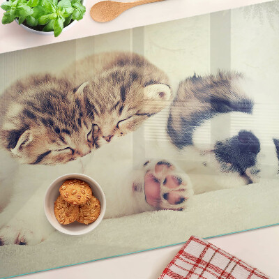 Deska kuchenna szklana z grafiką przedstawiającą koty i śpiącego pieska