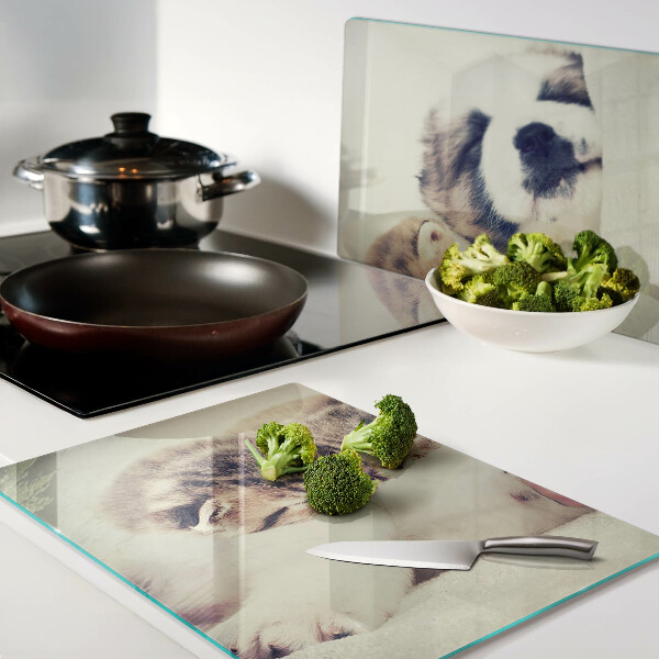 Deska kuchenna szklana z grafiką przedstawiającą koty i śpiącego pieska