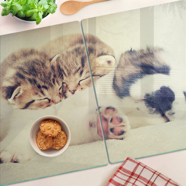 Deska kuchenna szklana z grafiką przedstawiającą koty i śpiącego pieska
